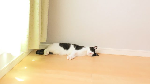 臨時採用教員 引っ越し 費用